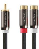 FosPower Y Adapter [8 inch] 1 RCA (Male) to 2 RCA (Female) Stereo Audio Adapter Cable [24k Gold Plated] 2 Male... N2