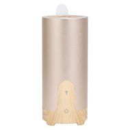 BEW Aroma Diffuser and Purifier with Car Charger and USB Cable for Car Office Home (Cylinder,40ML, Silver)