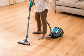 Bissell 2001 Hard Floor Expert Cordless Canister N7