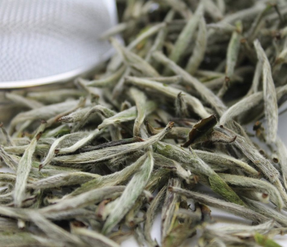 Premium Silver Needle White Tea - Bai Hao Yinzhen, Organic - 4oz / 111g