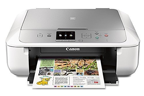 Canon MG5720 Wireless All-In-One Printer with Scanner and Copier with Ink Bundle N22