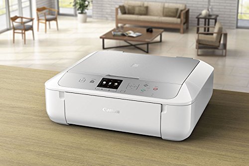 Canon MG5720 Wireless All-In-One Printer with Scanner and Copier with Ink Bundle N23