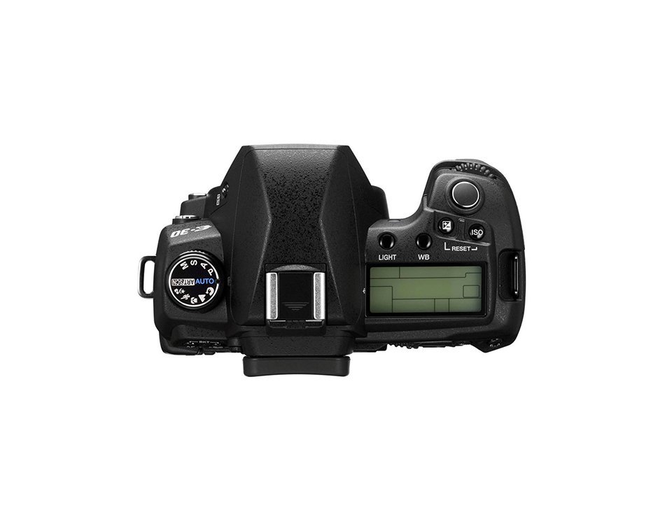 Olympus E30 12.3MP Digital SLR with Image Stabilization (Body Only) N8