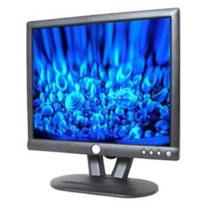 Dell E173FPc 17" Flat Panel Color Monitor