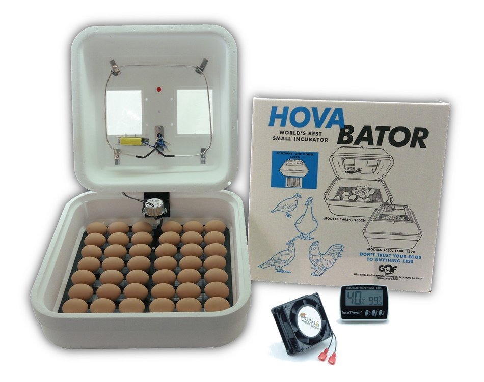 HovaBator Advanced Egg Incubator Combo Kit: includes incubator, fan kit, egg turner, digital thermometer/hygrometer