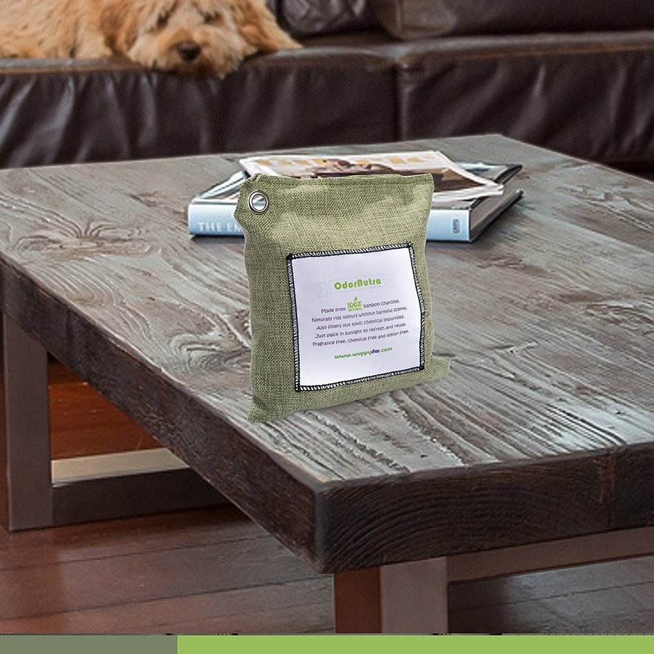 All Natural Air Freshener Air Purifier Controls Moisture and Odor