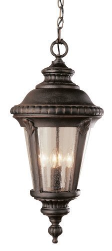 Trans Globe Lighting 5049 BG 17-Inch Outdoor Pendant, Black Gold by Trans Globe Lighting
