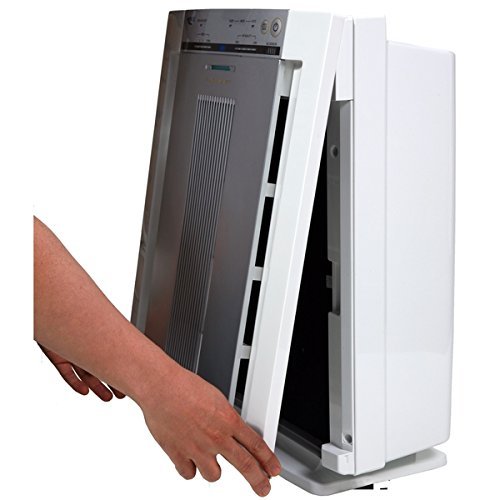 Winix WAC5500 Washable True-HEPA Air Filter with PlasmaWaveTechnology N2