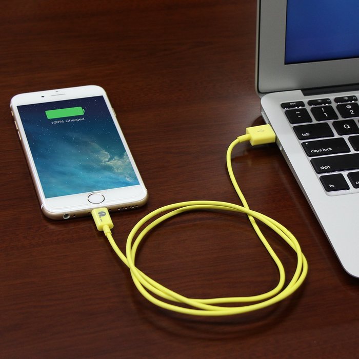 [Apple MFI Certified] 1byone Lightning to USB Cable 3.3ft (1 Meter) for iPhone 7 7 Plus 6s 6 Plus 5s SE 5c 5,... N11