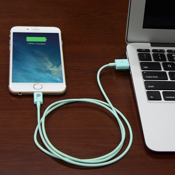 [Apple MFI Certified] 1byone Lightning to USB Cable 3.3ft (1 Meter) for iPhone 7 7 Plus 6s 6 Plus 5s SE 5c 5,... N13