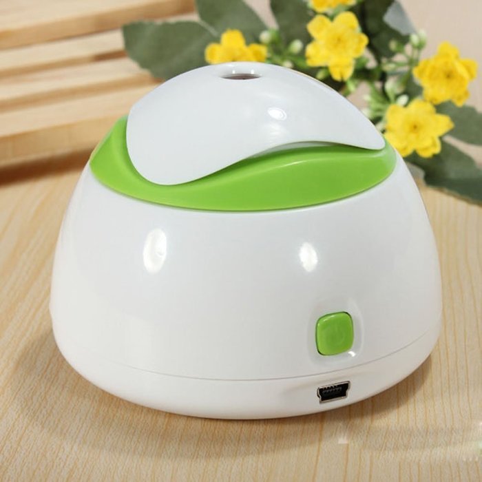 Indoor Air Purifier 110/220V