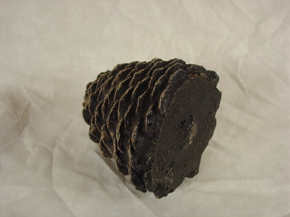 Chimney 48984 Hargrove Large Straight Ceramic Pine Cone For Gas Logs 5.5 Inchh