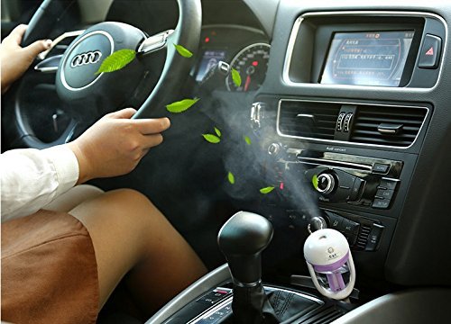 RayCC Car Air Humidifier Charger Port Mini Travel Portable Cool Mist Ultrasonic Humidifier with Aroma Diffuser... N6