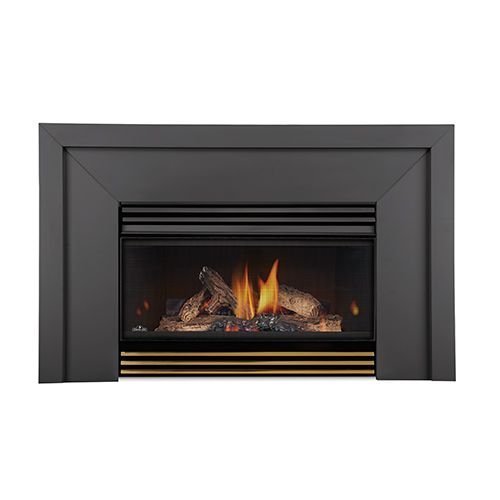 Roxbury Basic Fireplace Insert - Natural Gas