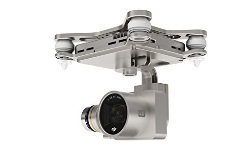 DJI Phantom 3 Professional Mother's Day Gift with EXTRA Battery, Drone Source lanyard and 32 GB SD card N5