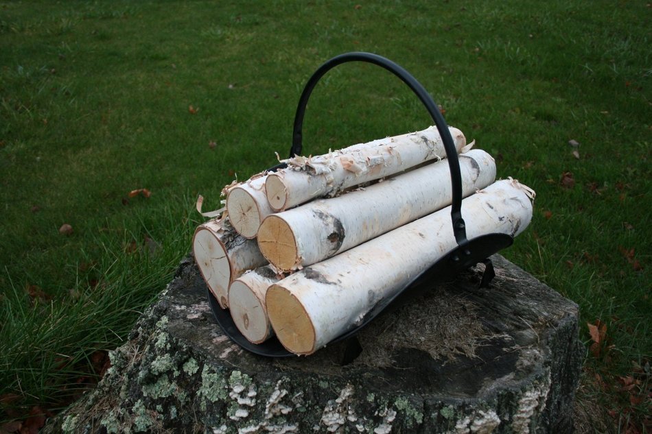White Birch Log Set for Fireplace N2