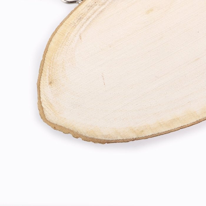 LEORX Wood Slices Oval Tree Log Slice Plaques (Wood Color) N3