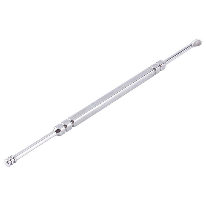 Oligex(TM) New hot 1 Pc Stainless Steel Earpick Ear Cleaning Tools Ear Care N3