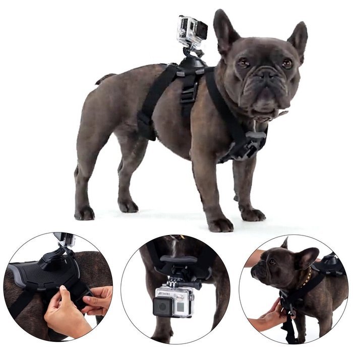 VolksPro Xiaomi Yi Dog Harness for Xiaomi Yi Action Camera and SJ Sport Camera Compatible with GoPro Hero 4 Hero... N3