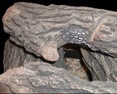 Kingston Gas Log Size: 8&quot; H x 18&quot; W x 8&quot; D N2
