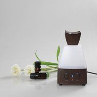 BEW Aromatherapy Diffuser,Wood Grain Cool Mist Ultrasonic Humidifier for Office Home Bedroom Living Room Study... N12