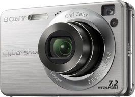 Sony Cybershot DSCW120 7.2MP Digital Camera with 4x Optical Zoom with Super Steady Shot (Silver) N12
