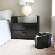 Vornado Evap3 Whole Room Evaporative Humidifier, Black N2
