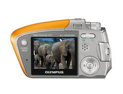 Olympus Stylus Verve 4MP Digital Camera with 2x Optical Zoom (Silver) N11