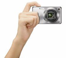 Sony Cyber-shot DSC-W290 12.1 MP Digital Camera with 5x Optical Zoom and Super Steady Shot Image Stabilization... N6