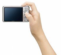 Sony Cyber-shot DSC-W290 12.1 MP Digital Camera with 5x Optical Zoom and Super Steady Shot Image Stabilization... N7