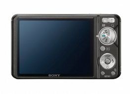 Sony Cyber-shot DSC-W290 12.1 MP Digital Camera with 5x Optical Zoom and Super Steady Shot Image Stabilization... N10