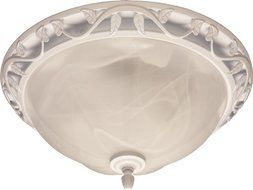 NuTone 761WHNT Corrosion Resistant Decorative Bath Fan, White