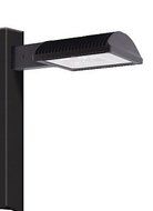 RAB Lighting ALED4T78 Type IV with 8-Inch Pole Mounting Arm Cool Led, Bronze by RAB Lighting
