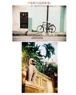 DIY Lomo Camera Science Vo1.25 Twin Lens Reflex Camera Kit