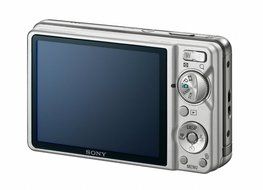 Sony Cyber-shot DSC-W290 12.1 MP Digital Camera with 5x Optical Zoom and Super Steady Shot Image Stabilization... N14