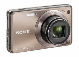 Sony Cyber-shot DSC-W290 12.1 MP Digital Camera with 5x Optical Zoom and Super Steady Shot Image Stabilization... N16