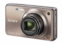 Sony Cyber-shot DSC-W290 12.1 MP Digital Camera with 5x Optical Zoom and Super Steady Shot Image Stabilization... N17