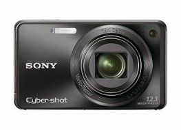 Sony Cyber-shot DSC-W290 12.1 MP Digital Camera with 5x Optical Zoom and Super Steady Shot Image Stabilization... N18