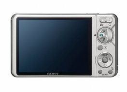Sony Cyber-shot DSC-W290 12.1 MP Digital Camera with 5x Optical Zoom and Super Steady Shot Image Stabilization... N19