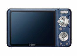 Sony Cyber-shot DSC-W290 12.1 MP Digital Camera with 5x Optical Zoom and Super Steady Shot Image Stabilization... N20