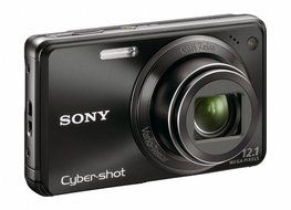 Sony Cyber-shot DSC-W290 12.1 MP Digital Camera with 5x Optical Zoom and Super Steady Shot Image Stabilization... N21