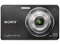 Sony DSC-W360 14.1 Mega Pixel W Series 4x Optical Zoom Cyber-shot (Black)