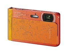 Sony DSC-TX30/B 18 MP Digital Camera with 5x Optical Image Stabilized Zoom and 3.3-Inch OLED (Black) N16