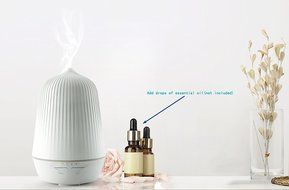 GH Brothers Germ Free Cool Mist Humidifier, White N5