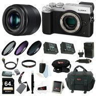 Panasonic Lumix GX8 Mirrorless Camera (Silver) w/ 25mm f/1.7 Lens &amp; 64GB SD Card Bundle N3