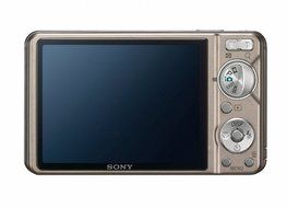 Sony Cyber-shot DSC-W290 12.1 MP Digital Camera with 5x Optical Zoom and Super Steady Shot Image Stabilization... N24