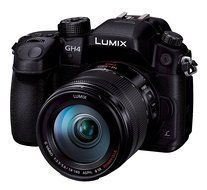 Panasonic LUMIX GH4 DMC-GH4GC-K 16.05MP Digital Single Lens Mirrorless Camera with 4K Cinematic Video (Body only... N4