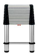 Telesteps 1600E 12.5-Feet Extension Ladder by Telesteps