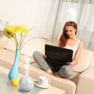 Ecosin Humidifier Air Diffuser，LED Touch Aroma Ultrasonic Humidifier USB Essential Oil Diffuser Air Purifier (... N2