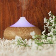 Cool Mist Humidifier Filter Free Ultrasonic Aroma Essential Oil Diffuser 100ml (Khaki) N11